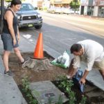 Marxisme og direkte aktion