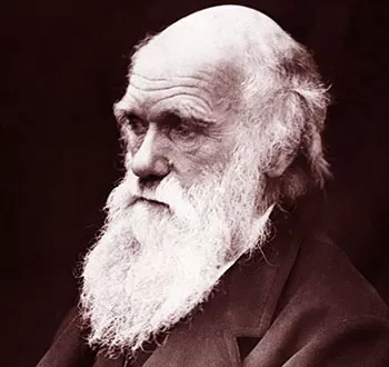 Marx, Darwin and Gould: The revolution of evolution